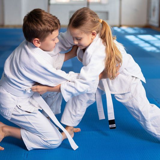 4 � 7 ans - Judo / sortie skypark -  5 jours